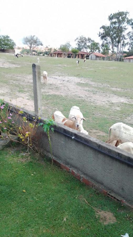 chalé em Gravatá Villa Exterior foto